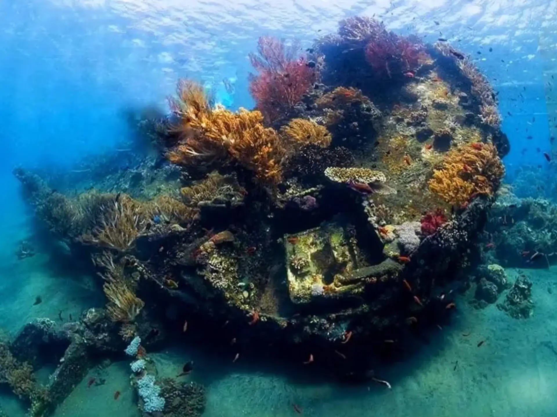 Japanese Shipwreck Point