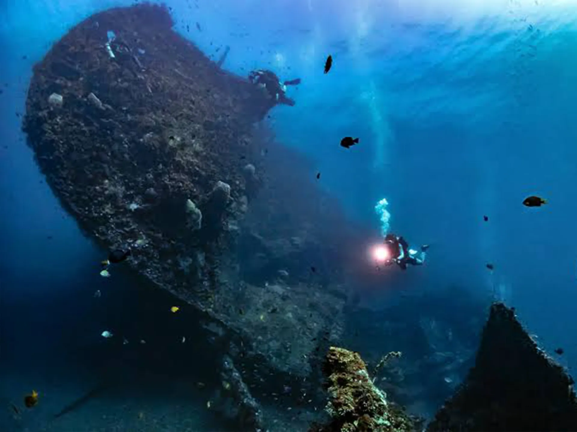 USAT Liberty Shipwreck (Tulamben)