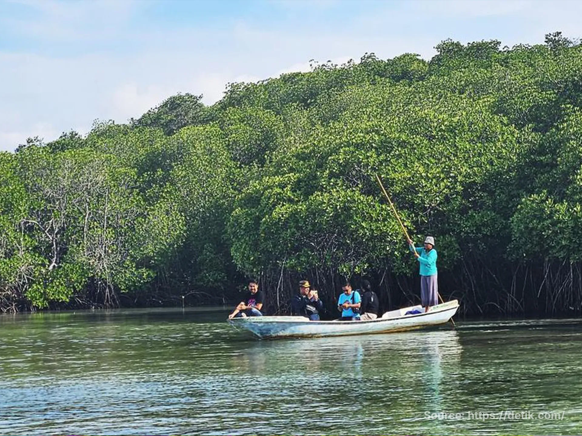 Mangrove Forest