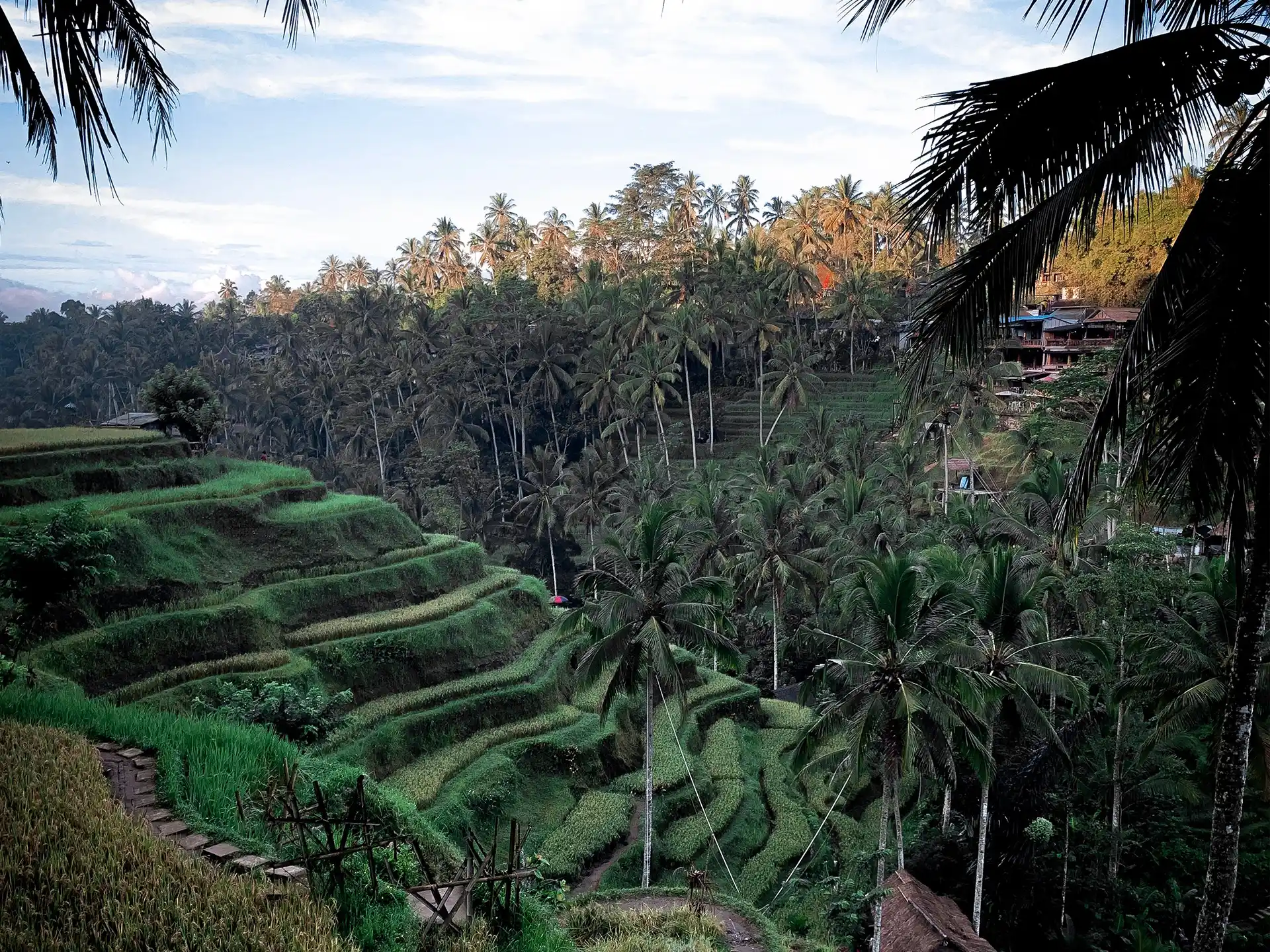 Ubud